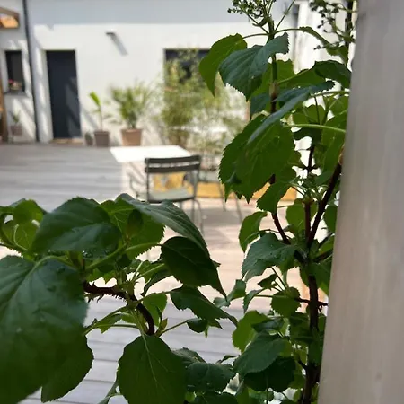 Le Patio D'oscar 招待所 3*