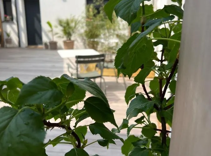 Le Patio D'oscar Gasthof 3*